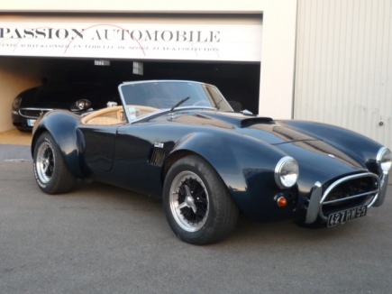 Photo Cobra PGO