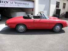 Alfa Romeo spider 